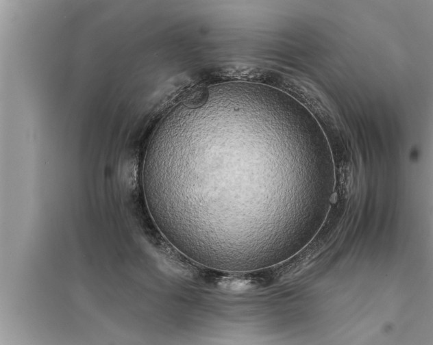 X0000095520602200712211304