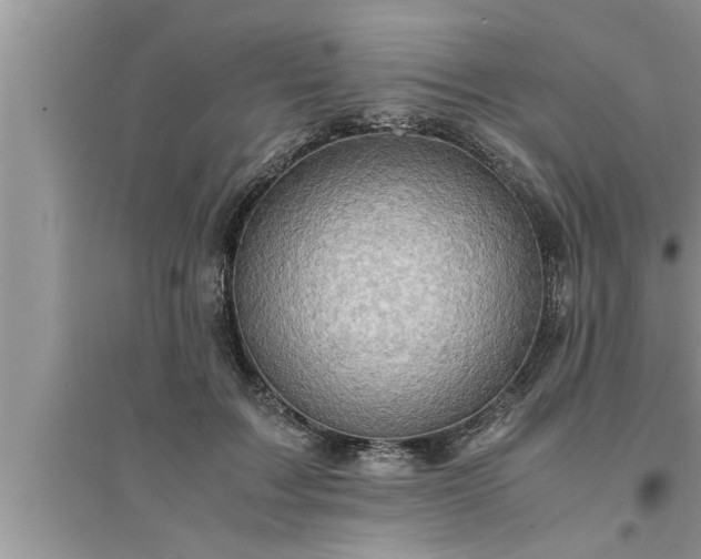 X0000095520603200712211304