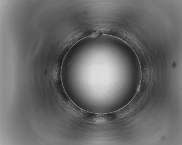 X0000095520604200712211304