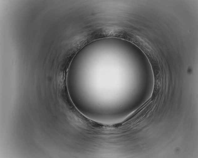 X0000095520605200712211304