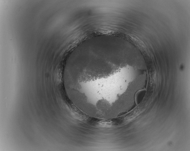 X0000095520606200712211304