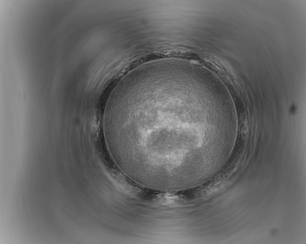 X0000095520607200712211304