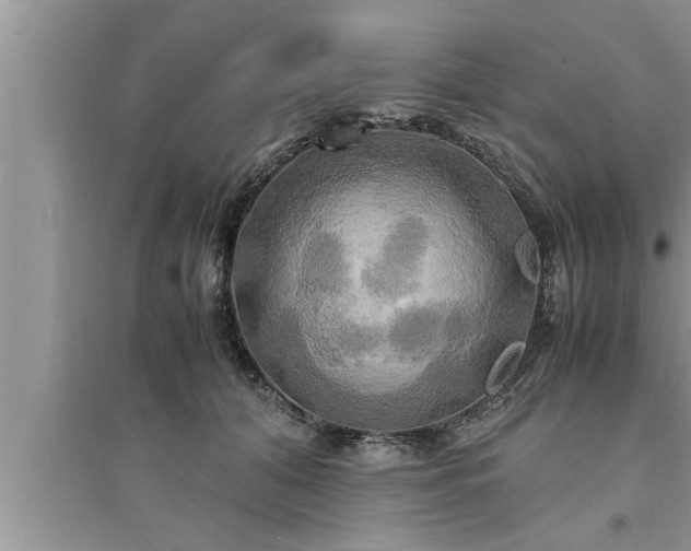 X0000095520608200712211304