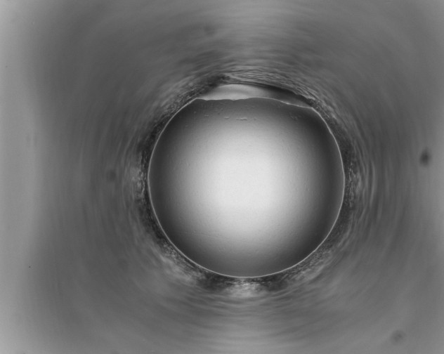 X0000095520609200712211304