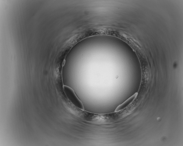 X0000095520611200712211304