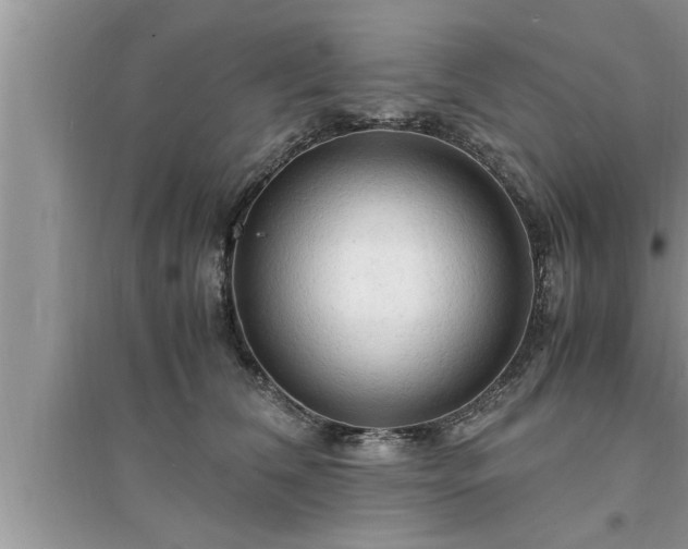 X0000095520612200712211304