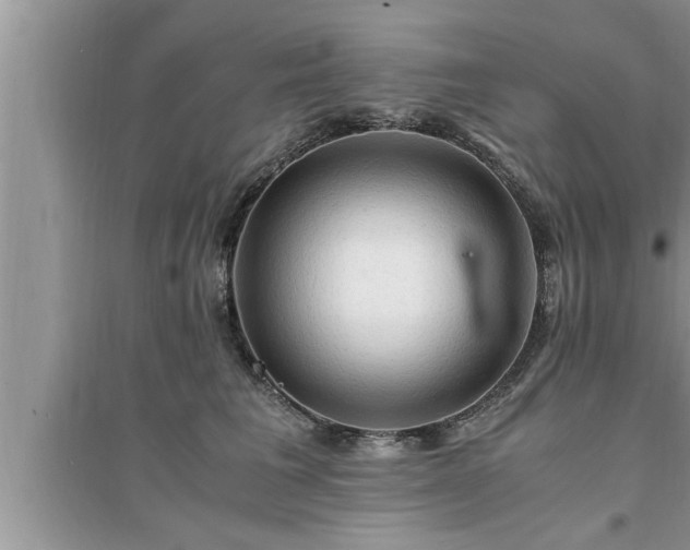 X0000095520613200712211304