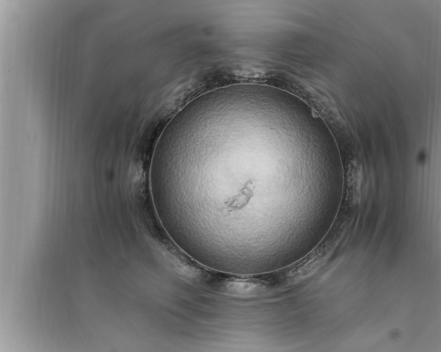 X0000095520614200712211304