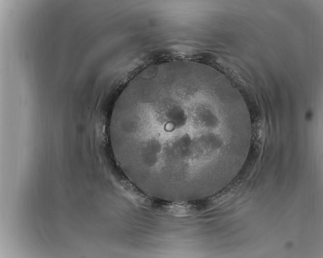 X0000095520615200712211304