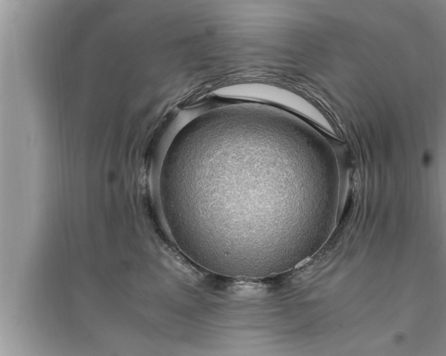 X0000095520617200712211304