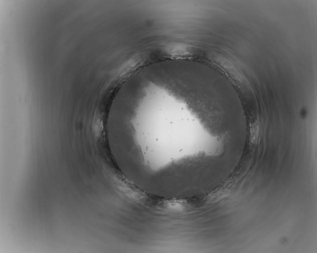 X0000095520618200712211304