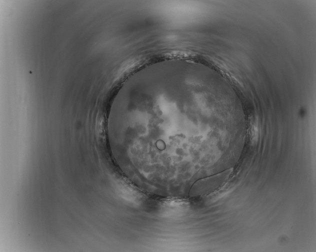 X0000095520619200712211304