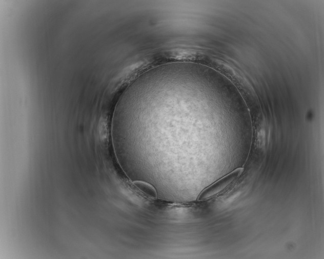 X0000095520620200712211304