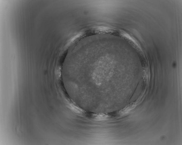 X0000095520621200712211304