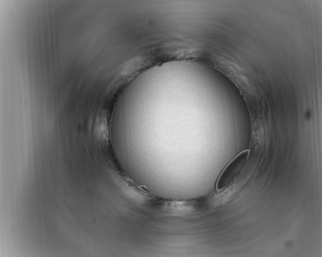 X0000095520622200712211304