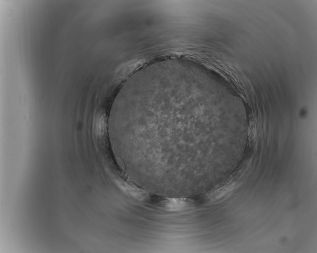 X0000095520623200712211304