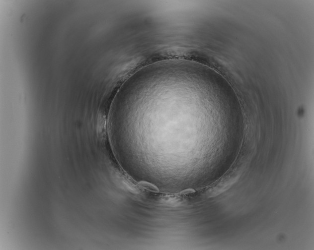 X0000095520624200712211304