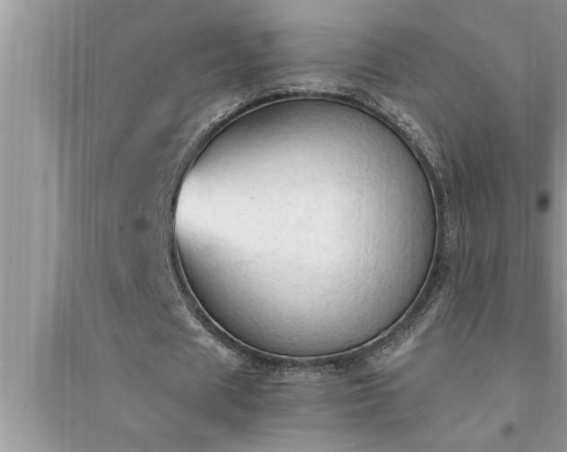 X0000095520625200712211303