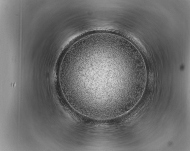 X0000095520628200712211303