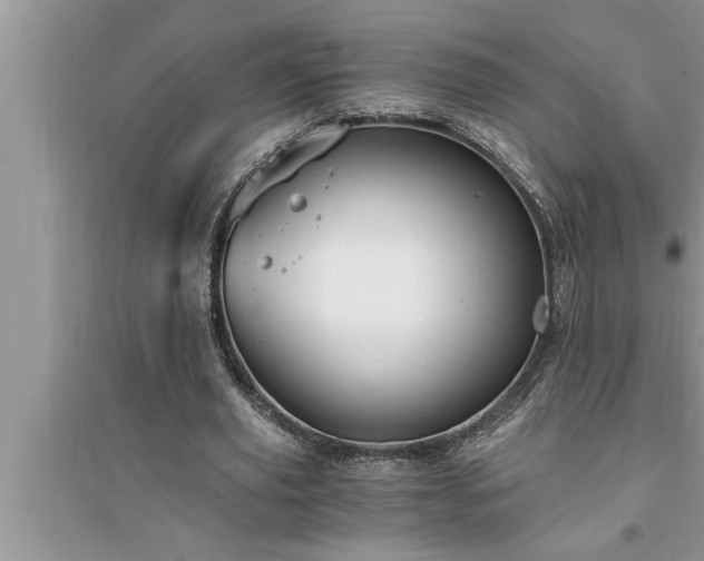 X0000095520629200712211303