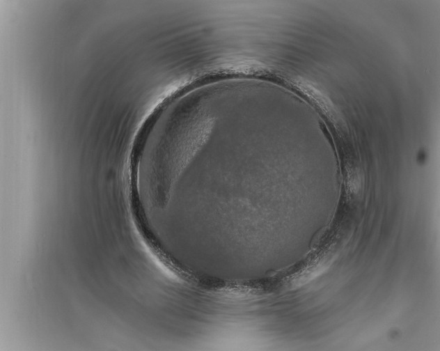 X0000095520630200712211303