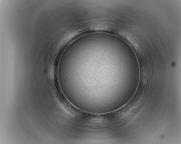 X0000095520631200712211303