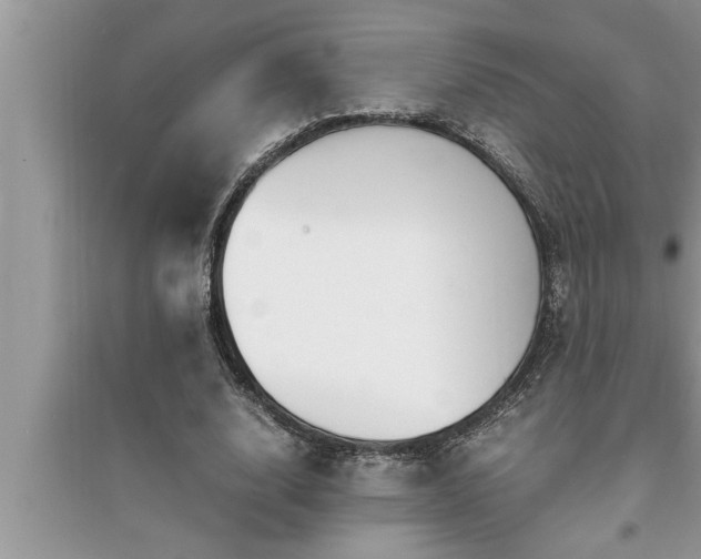 X0000095520632200712211303