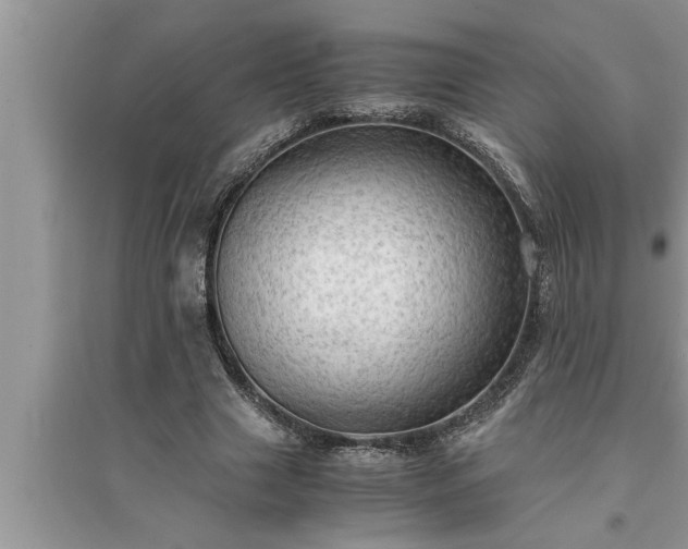 X0000095520633200712211303