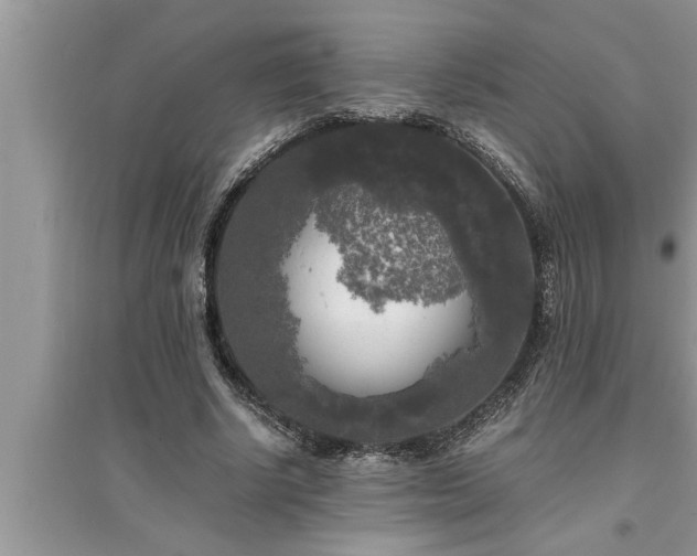 X0000095520634200712211303