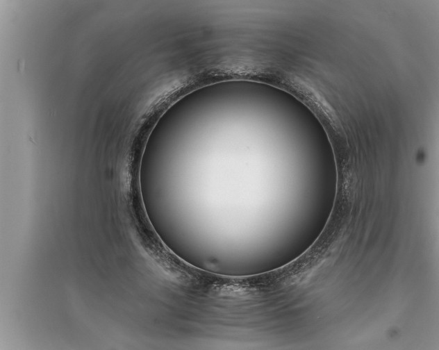 X0000095520635200712211303