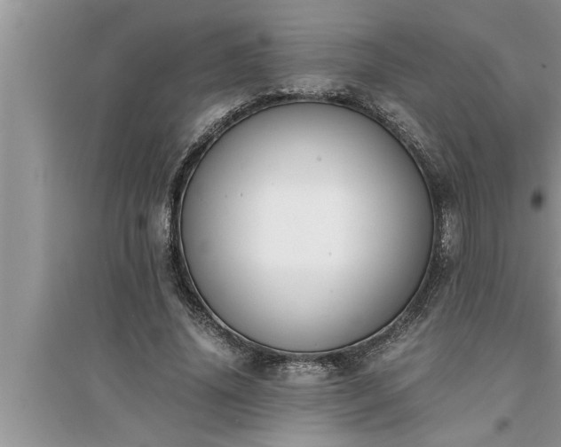 X0000095520636200712211303