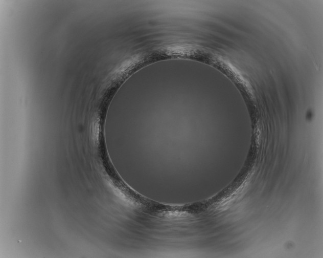 X0000095520637200712211303