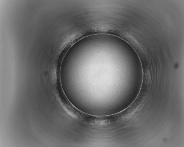 X0000095520638200712211304