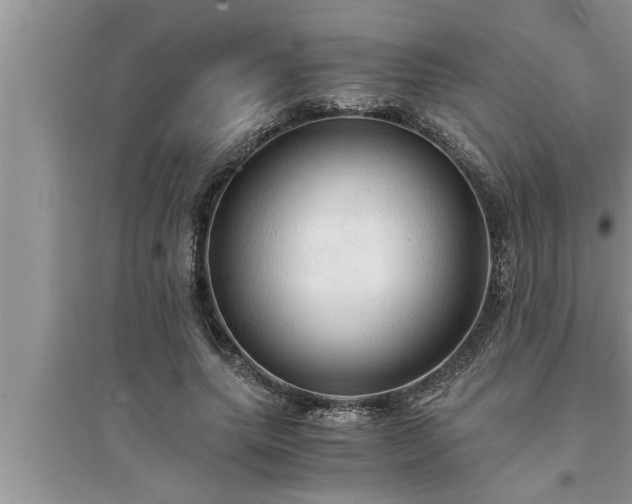 X0000095520639200712211304