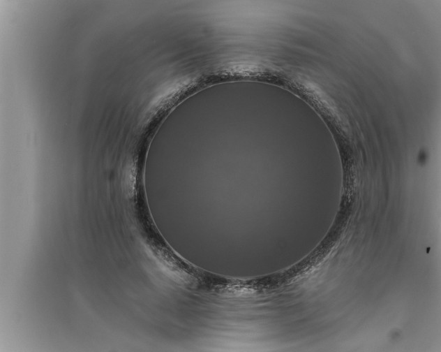 X0000095520640200712211304