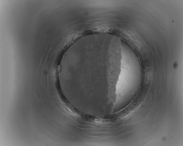 X0000095520641200712211304