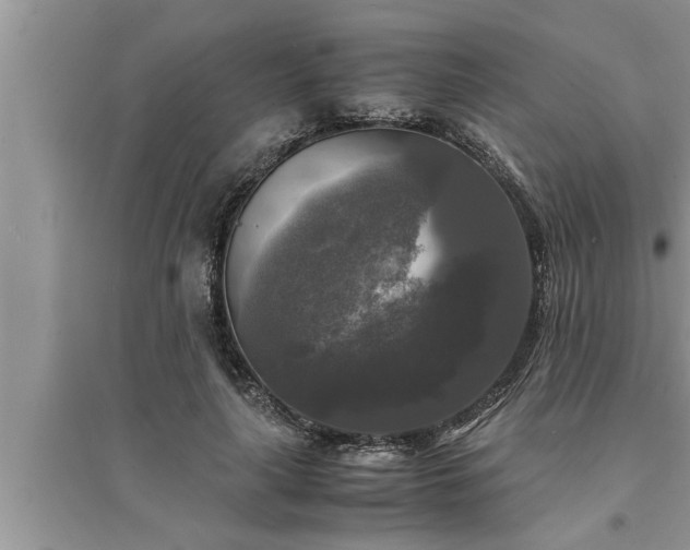 X0000095520643200712211304