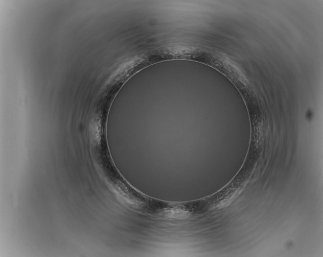 X0000095520644200712211304