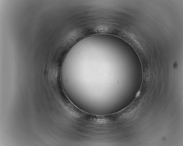 X0000095520645200712211304