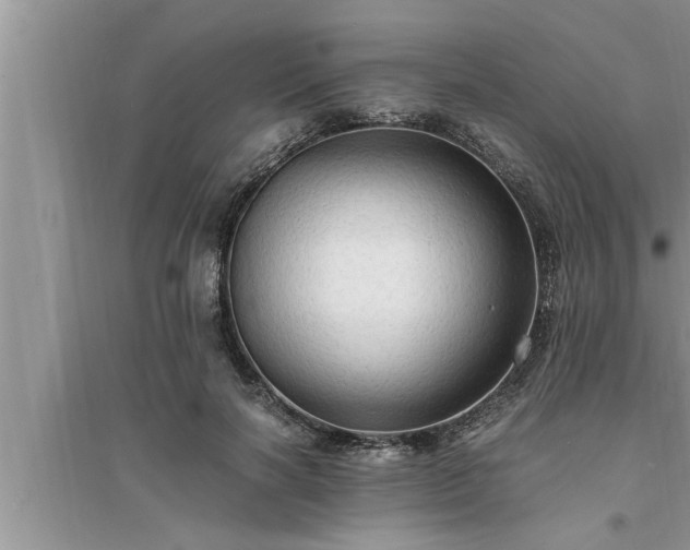 X0000095520646200712211304