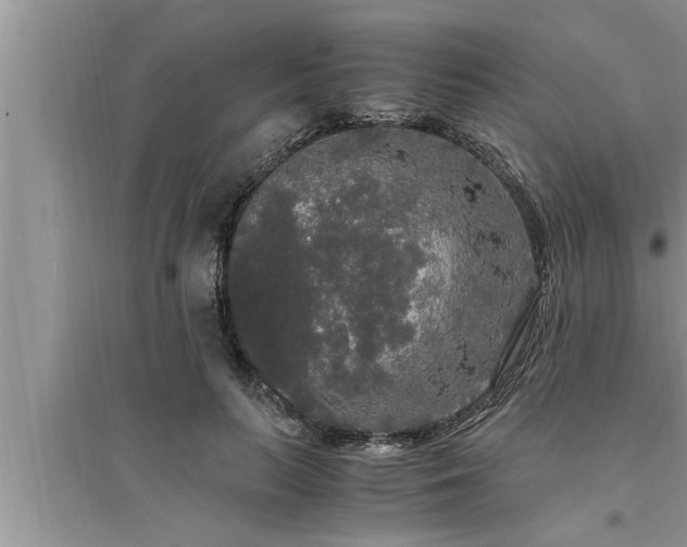 X0000095520647200712211304