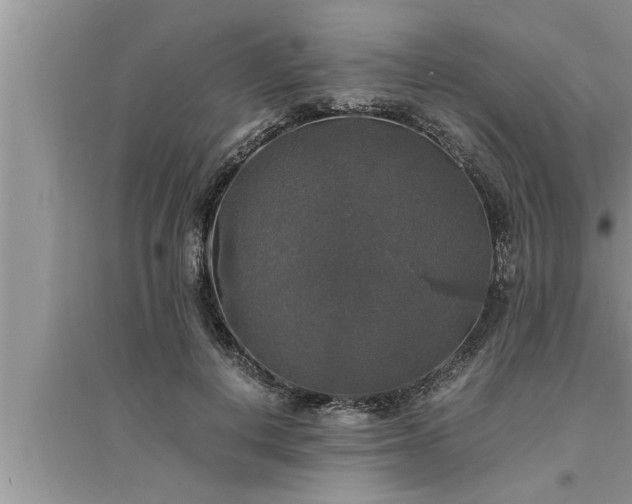 X0000095520648200712211304