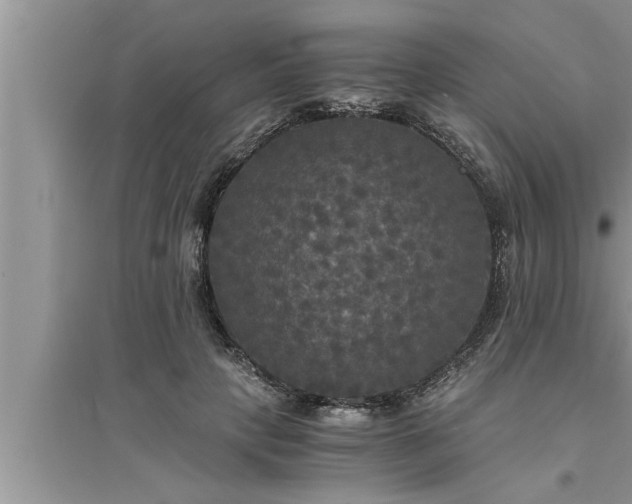 X0000095520649200712211304