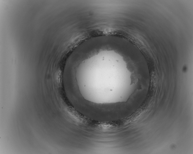 X0000095520650200712211304