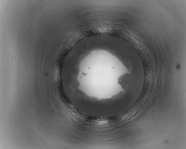 X0000095520651200712211304