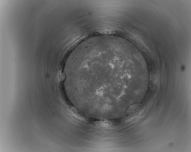 X0000095520652200712211304