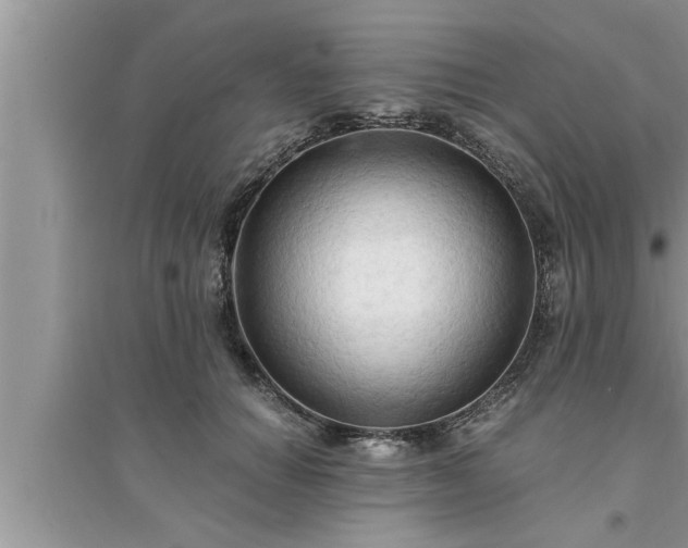 X0000095520654200712211304