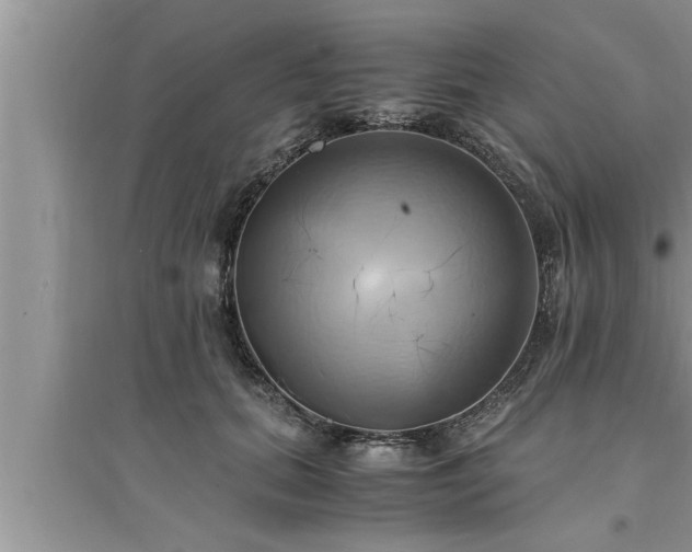 X0000095520655200712211304