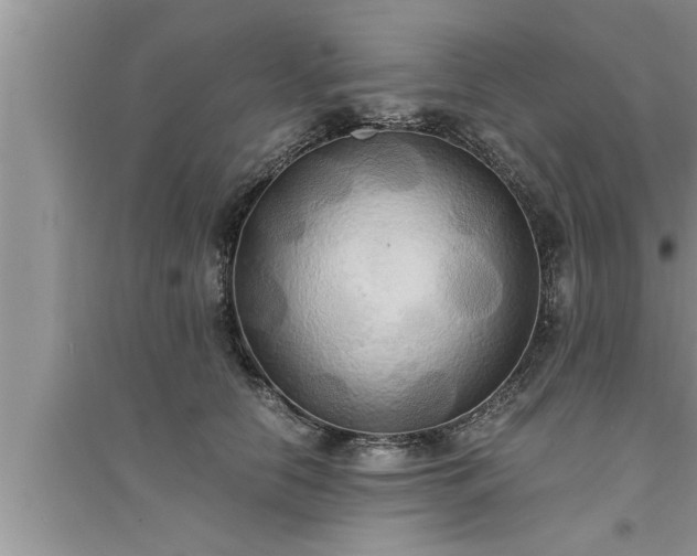 X0000095520658200712211304