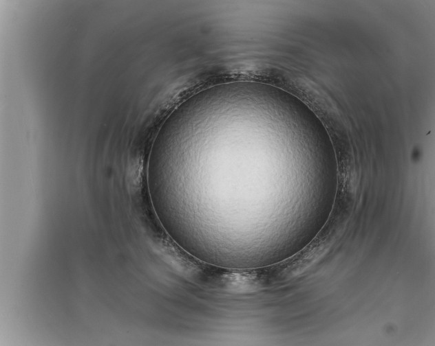 X0000095520660200712211304